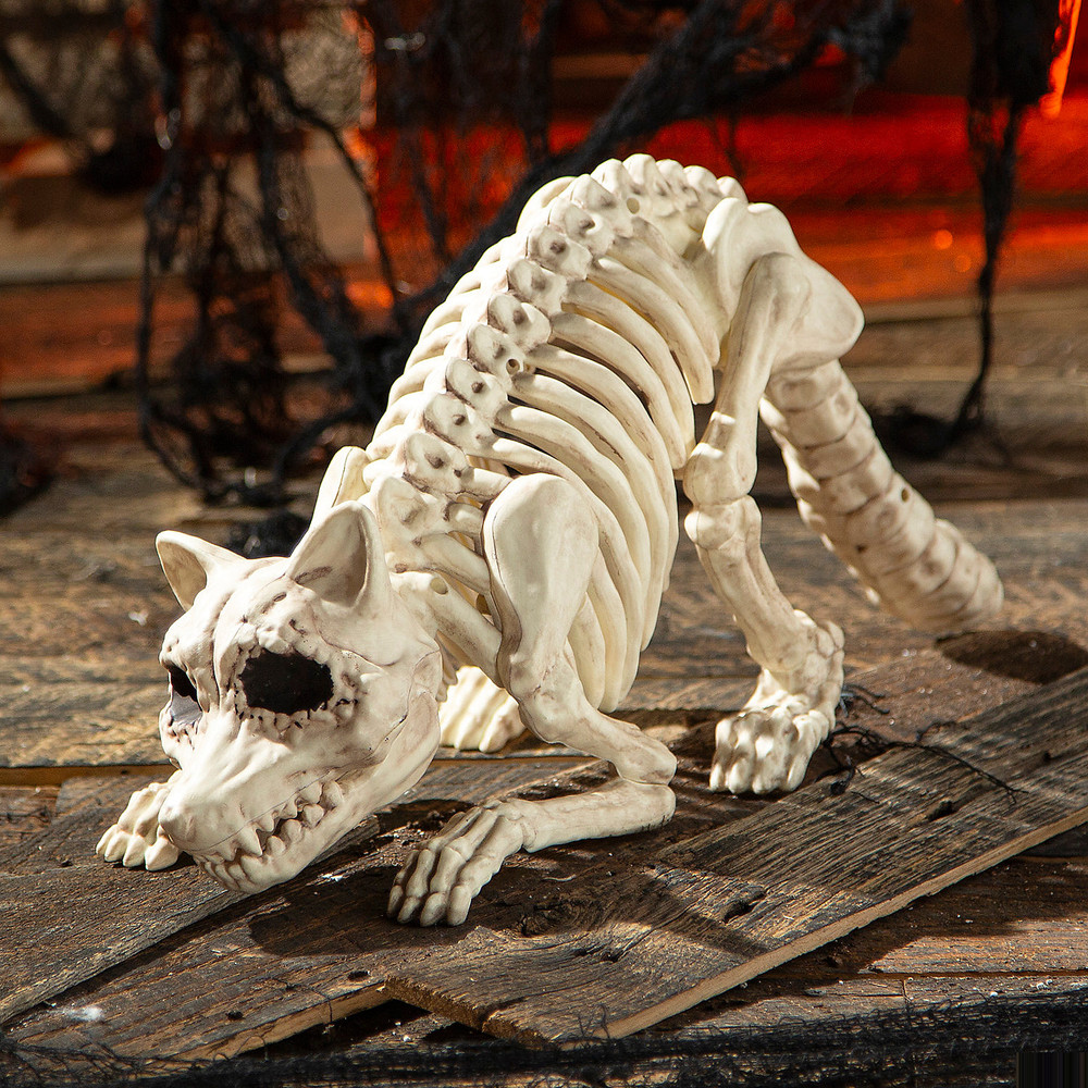 7 3/4″ Raccoon Skeleton Plastic Outdoor Halloween Decoration – Seasons