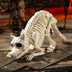 7 3/4″ Raccoon Skeleton Plastic Outdoor Halloween Decoration – Seasons