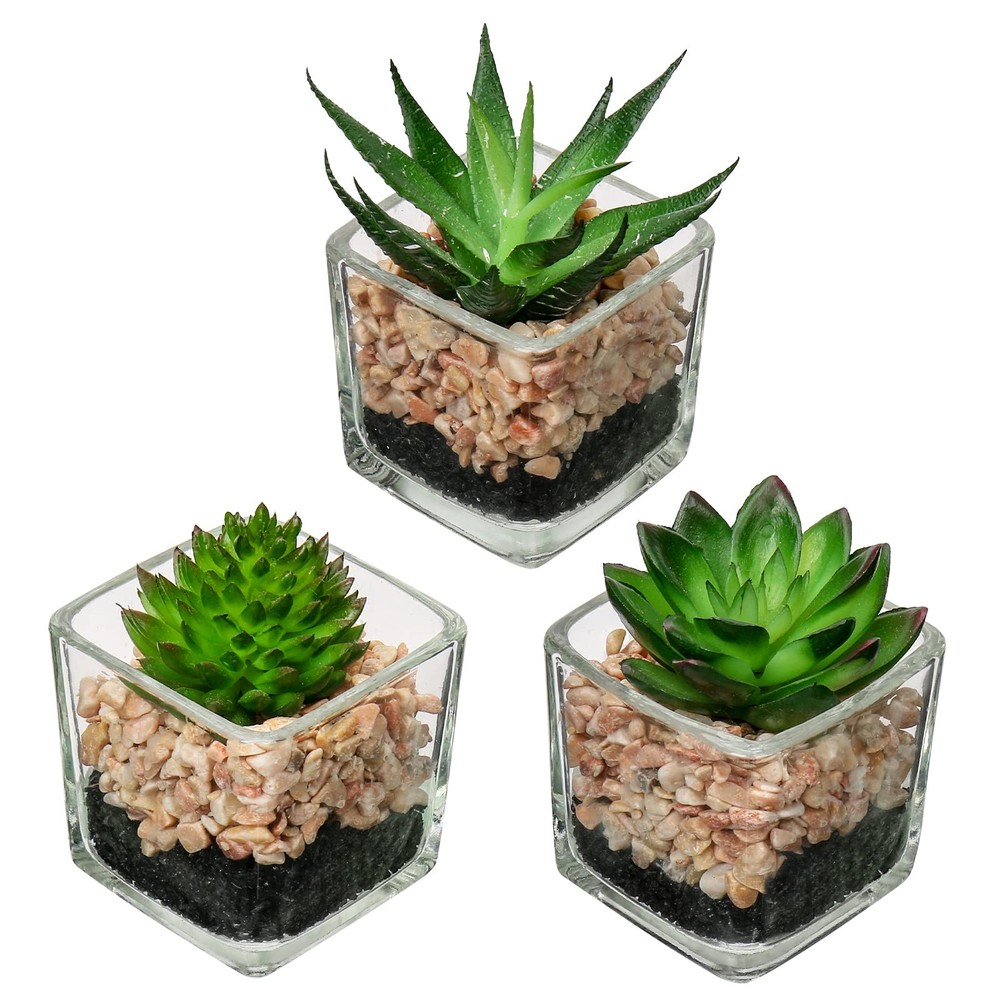 Briful Set of 3 Succulents Plants 3 to 5.1 inches tall, #01