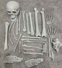 Halloween Skull Skeleton Decor Bag of Bones – Indoor Outdoor Decor