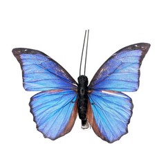 YCHTEWY-Feather Fake Butterfly for Craft Decoration Set of 12 with B, A Wire