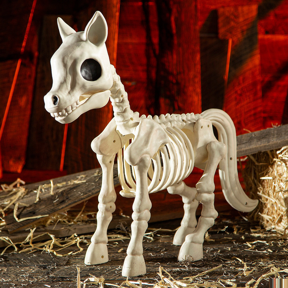 25″ x 23″ Standing Pony Plastic Skeleton Halloween Decoration – Morris Costumes
