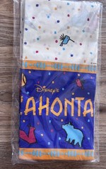 Retro Vintage Pocahontas Party Supplies Invitations Hats Bags Plates Table Cover