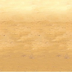 Desert Sand Backdrop Party Accessory 1 Count 1/Pkg)