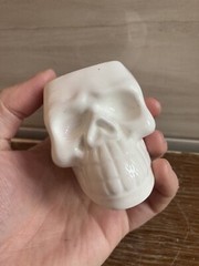5x Gothic Human Skull Flower Pot Home Garden Succulent Plant Halloween Planter