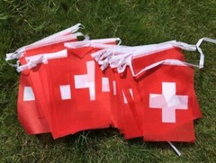 114Pcs Switzerland Flag 150 Feet Switzerland Pennant String Banner Polyester NEW