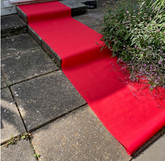 15ft Red Carpet VIP Party Floor Runner Prom Birthday Photo Prop Decoration Idea