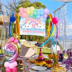 35 PCS On Cloud 9 Birthday Decoration for Girls – On Cloud 9 Backdrop, 32 inc…