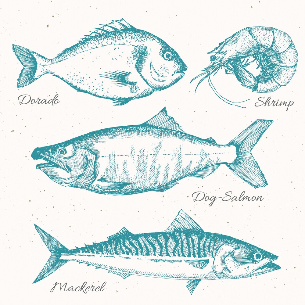 BIG CATCH Fish Beverage Napkins 20pcs Fishing Napkins, Coastal Cocktail Napkins