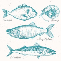BIG CATCH Fish Beverage Napkins 20pcs Fishing Napkins, Coastal Cocktail Napkins