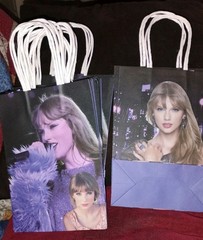 TAYLOR SWIFT Party Favors 2 Sided PAPER GIFT GOODIE BAGS 14 Count NEW 2 Styles