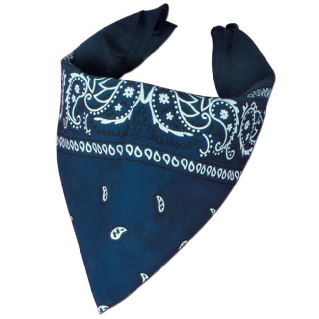 Western Cowboy Country Theme Party Blue Bandana 22 Inches Birthday Decorations