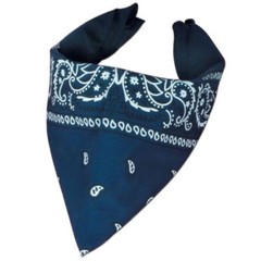 Western Cowboy Country Theme Party Blue Bandana 22 Inches Birthday Decorations
