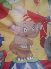 Children’s Party Birthday Celebration Fun 2 Face Hole Carnival Picture Flag 58″