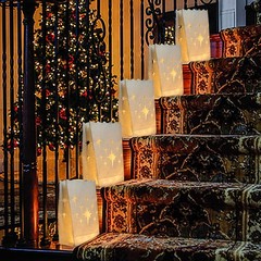 White Luminary Bags, Upgraded Moisture-Proof Candle Bags, Stars Design Lumina…