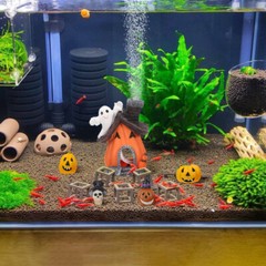 5PCS Fish Tank Decor Halloween Betta Holiday Decorations Pumpkin House