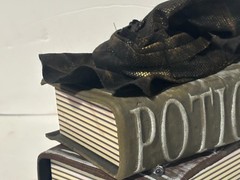 Animated Moving Talking Light-Up Witch Hat on Potion Books Halloween Decor NEW