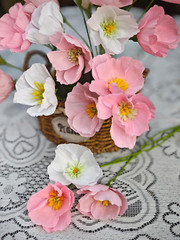 Crepe Paper Flower DIY Making Kit, Icelandic Poppy, Assorted Colors Blush Pink C
