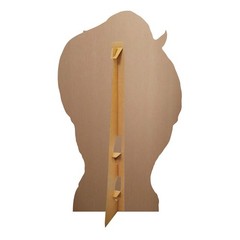 Rhinoceros Animal Cardboard Cutout 152cm Tall with Free Mini Standee Wildlife