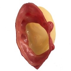5pc Bloody Body Part Fake HUMAN SEVERED EARS Zombie Hunter Halloween Horror Prop