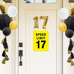 17Th Birthday Party Decorations – 9PCS Wall Signs Funny Tags for Teenagers 17 Ye