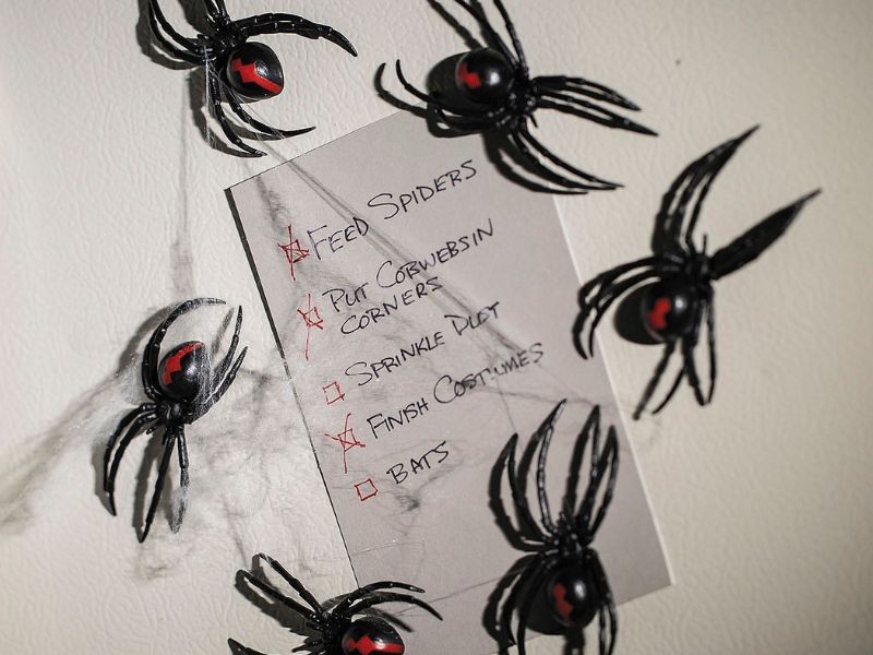 Magnetic Black Widow Spiders 12 Pc – 3 1/2 In Halloween Decor Prop Haunted House