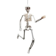 Wicked Costumes – Pose-able Skeleton (40cm) – Party Decoration