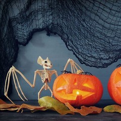 Halloween Creepy Cloth, Black Scary Gauze 200 x 400cm, Table Fabric Cloth