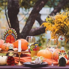 Beistle 4 Piece Thanksgiving Decorations Mini Pilgrim And Turkey Table…
