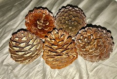5 PCS Natural Pine Cones (Medium) 5 to 8cm FOR ALL SEASONS