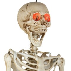 5 ft 5 in LED Eyes Poseable Human Size Skeleton Skull Halloween Decoration Prop