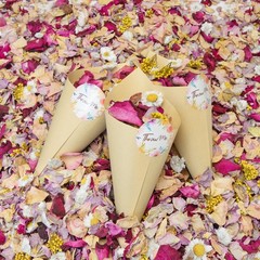 5 QT Dried Flower Petals Biodegradable Wedding Confetti Toss Rose Petals