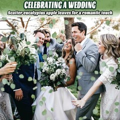 Dried Eucalyptus Leaves 500 Pcs 9oz 1.5-3″ Natural Decor – Wedding