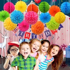 Colorful Paper Party Decorations, Tissue Paper Flower&Party Pom Poms wth Swir…