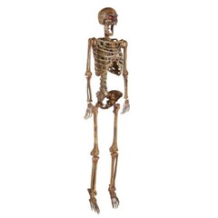 5 ft Poseable Human Size Decayed Skeleton Skull w/LED Eyes Halloween Decor Props