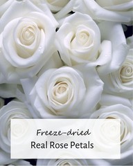3.5oz Real Pearl White FreezeDried Rose Petals Biodegradable Wedding Toss