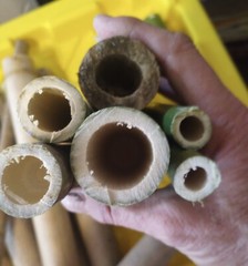 10 Bamboo 12″ Poles Variety Sizes Tiki Luau Home Art Decorations Rough Cut 1′