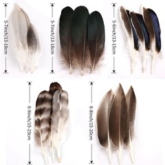 Daieeparty 15pcs Pheasant Feathers 5-8inch Natural Craft Feather for Home Dec…
