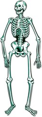 Creepy Jointed Skeleton Decoration – 4′ 7» Flexible Poseable Prop for Halloween