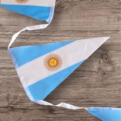 Argentina flag birthday party decoration soccer sports decor set of 4