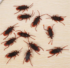 10Pcs Fake Roaches Realistic Plastic Roach Bugs Fake Cockroaches Insect USA