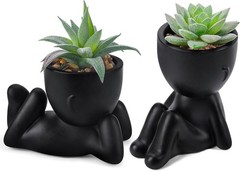 Der Rose Set of 2 Fake Plants Artificial Succulent for Office Black
