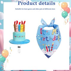 Cheerful Goose for costume Set for Outdoor Birthday Parties with Fun Accessories