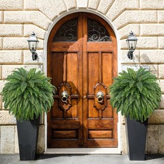 FOREST PRINCE 50″ Artificial Boston Ferns, Fake Bush 1 Pcs, 1 Pcs