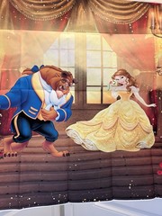 Beauty And The Beast Belle Backdrop 5×3 Decor #300 Tapestry