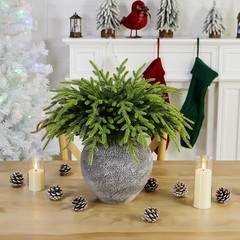 30 Pcs 14 inches (L) x 0.3 (W) x 1.9 (H), Gradient Green