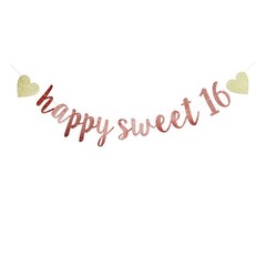Happy Sweet 16 Banner, 16th Birthday Party Sign, 15 Piece Set, Pink