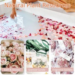 2.5 QT 30 Cups Mix Real Dried White Pink Yellow Rose Flower Petal Confetti