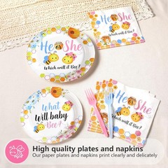 Which Will It Be? Disposable Baby Shower Tableware (Plates, Napkins, Forks)