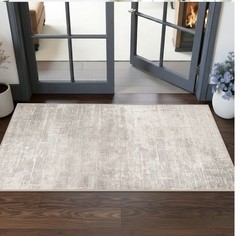 Washable 2×5 Kitchen Runner Rug: Abstract 2′ x 5′ (Rectangular), Beige/Cream